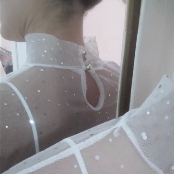 Sheer Sparkly Long Sleeve Mesh Transparent Top - Picture 5 of 8